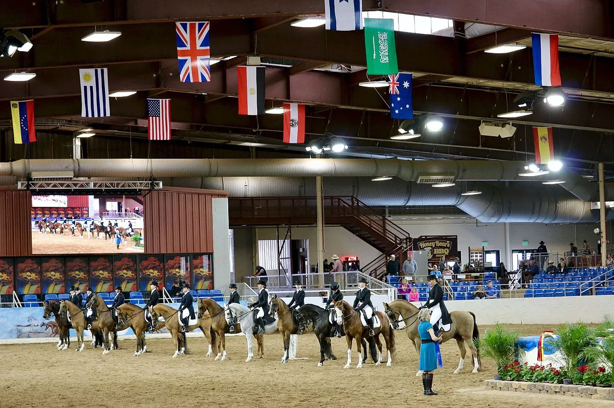 Luxury Vacation Rentals for Scottsdale Horse Show Luxury Vacation Rentals